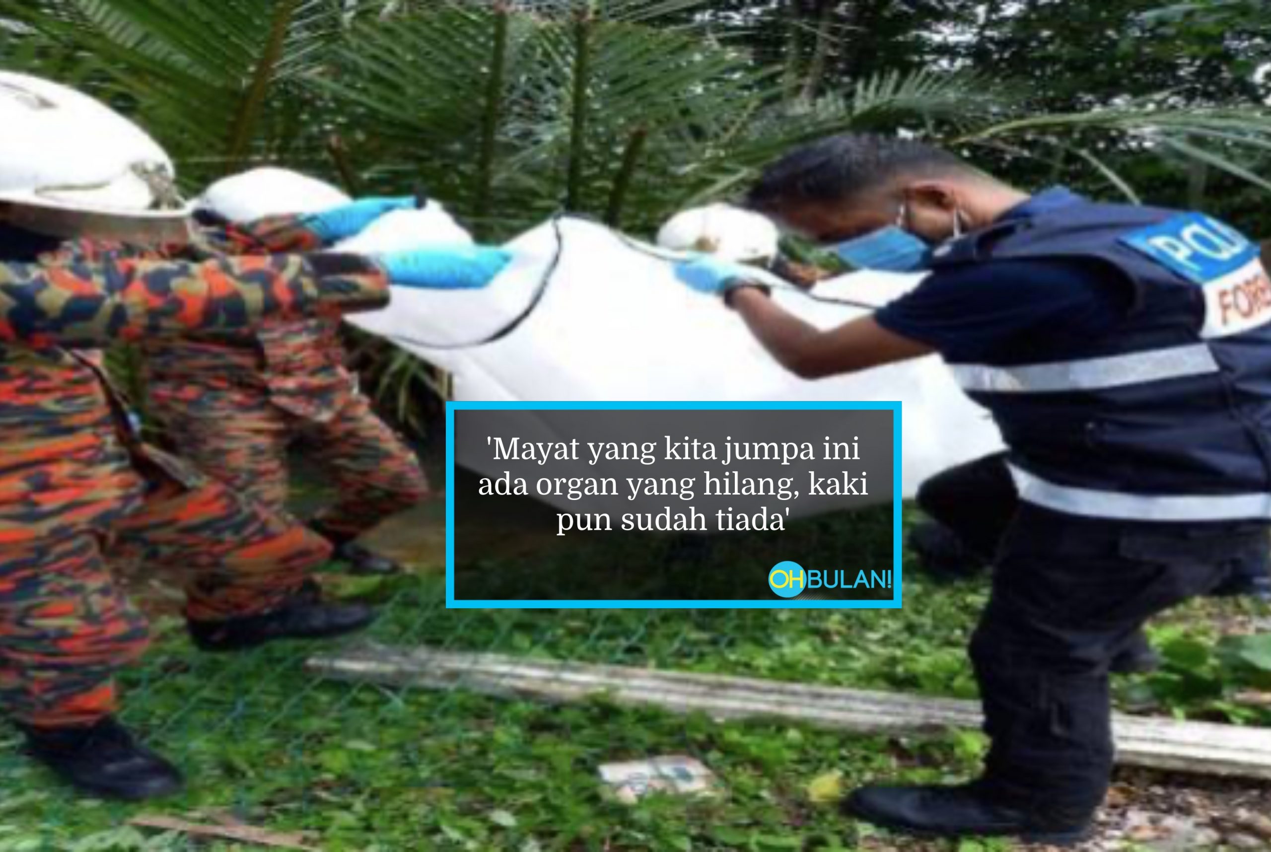Mayat Kanak-Kanak Lingkungan Umur 3 Tahun Ditemui Tanpa Organ & Kaki Di Kawasan Semak