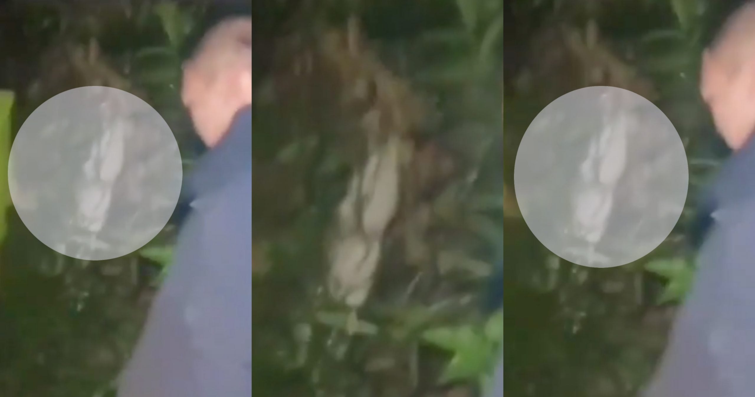 [VIDEO] Pocong ‘Teman’ Turun Gunung