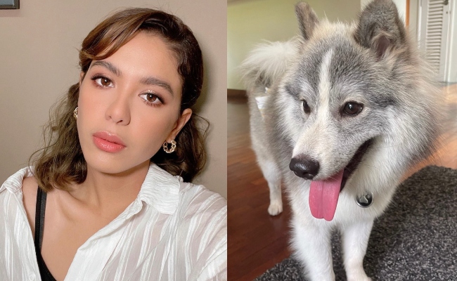 Kongsi Video Anjing Tunggu Depan Pintu Bilik, Julia Farhana Bela?