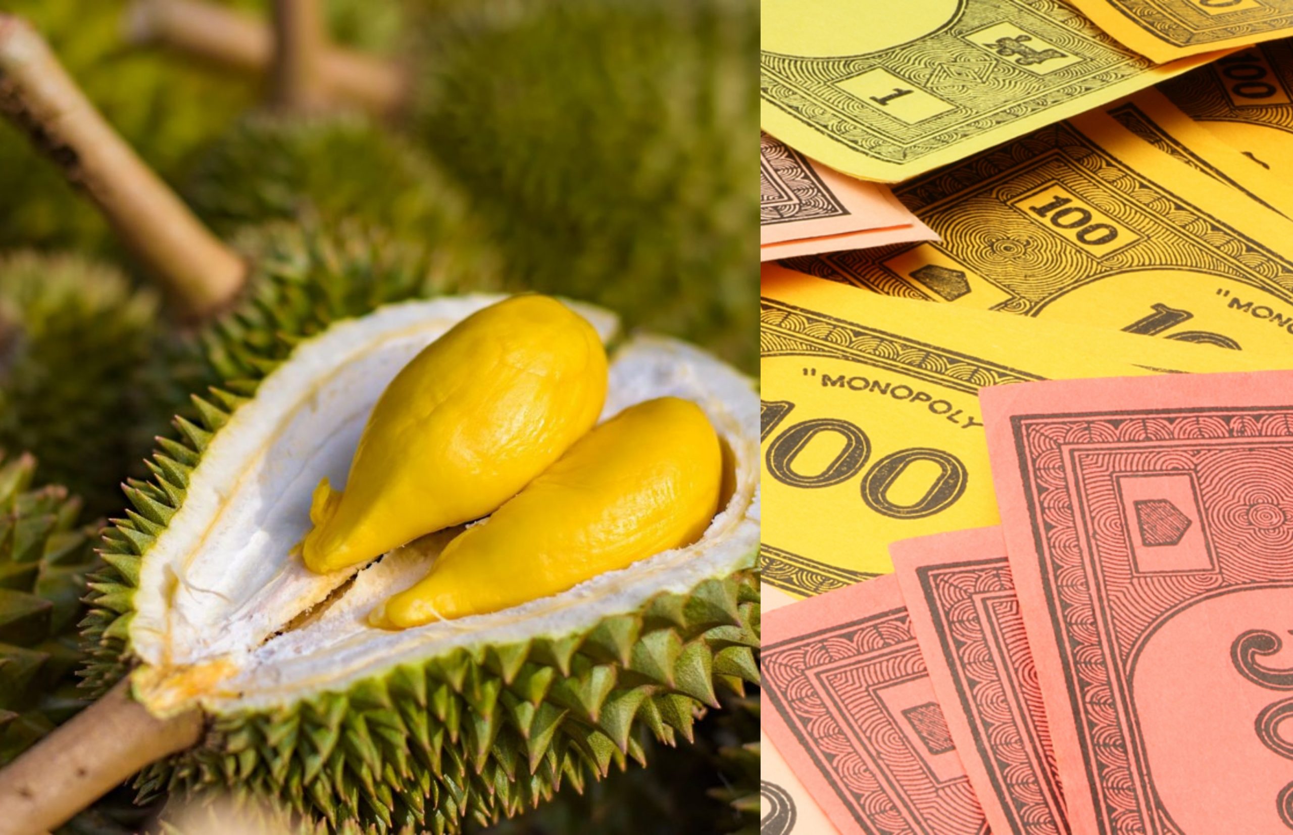 Lelaki ‘Kantoi’ Beli Durian Guna Duit Palsu Dikenakan Hukuman Penjara 3 Tahun