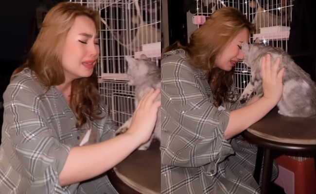Janna Nick Nangis Kucing Kesayangan Cedera, Jiran Siap Maki Nak Sembelih – ‘Jangan Ingat Tak Ada Akta Dalam Dunia Ni!’