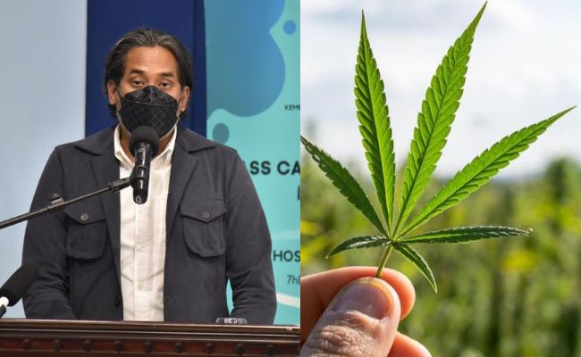 KKM Sedia Kerjasama Kaji Penggunaan Ganja Dalam Perubatan – KJ