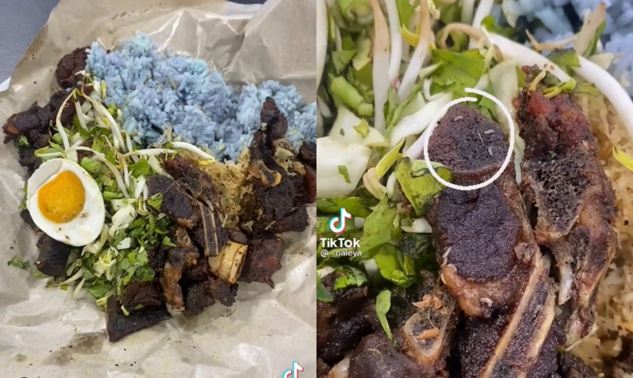 [VIDEO] Lagi Beberapa Minit Nak Berbuka Puasa, Wanita Terkedu Nasi Kerabu Yang Dibeli Dipenuhi Ulat