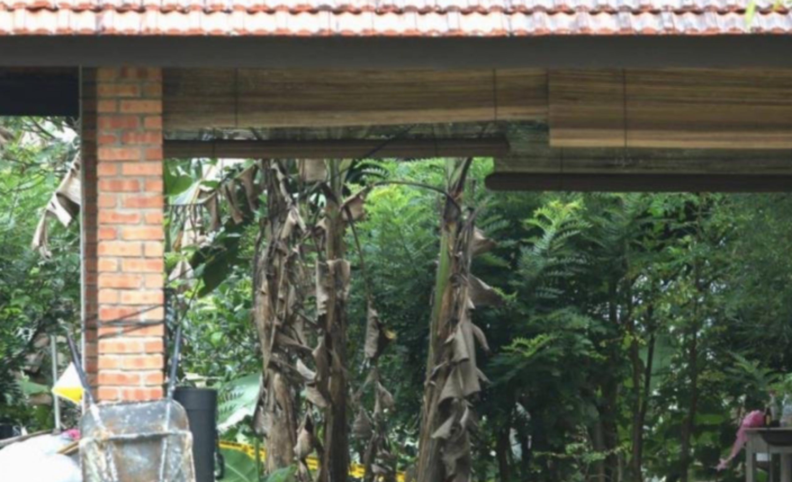 Bekas Diplomat Berpangkat ‘Datuk’ Ditahan Polis, Disyaki Tanam 100 Pokok Ganja Keliling Rumah