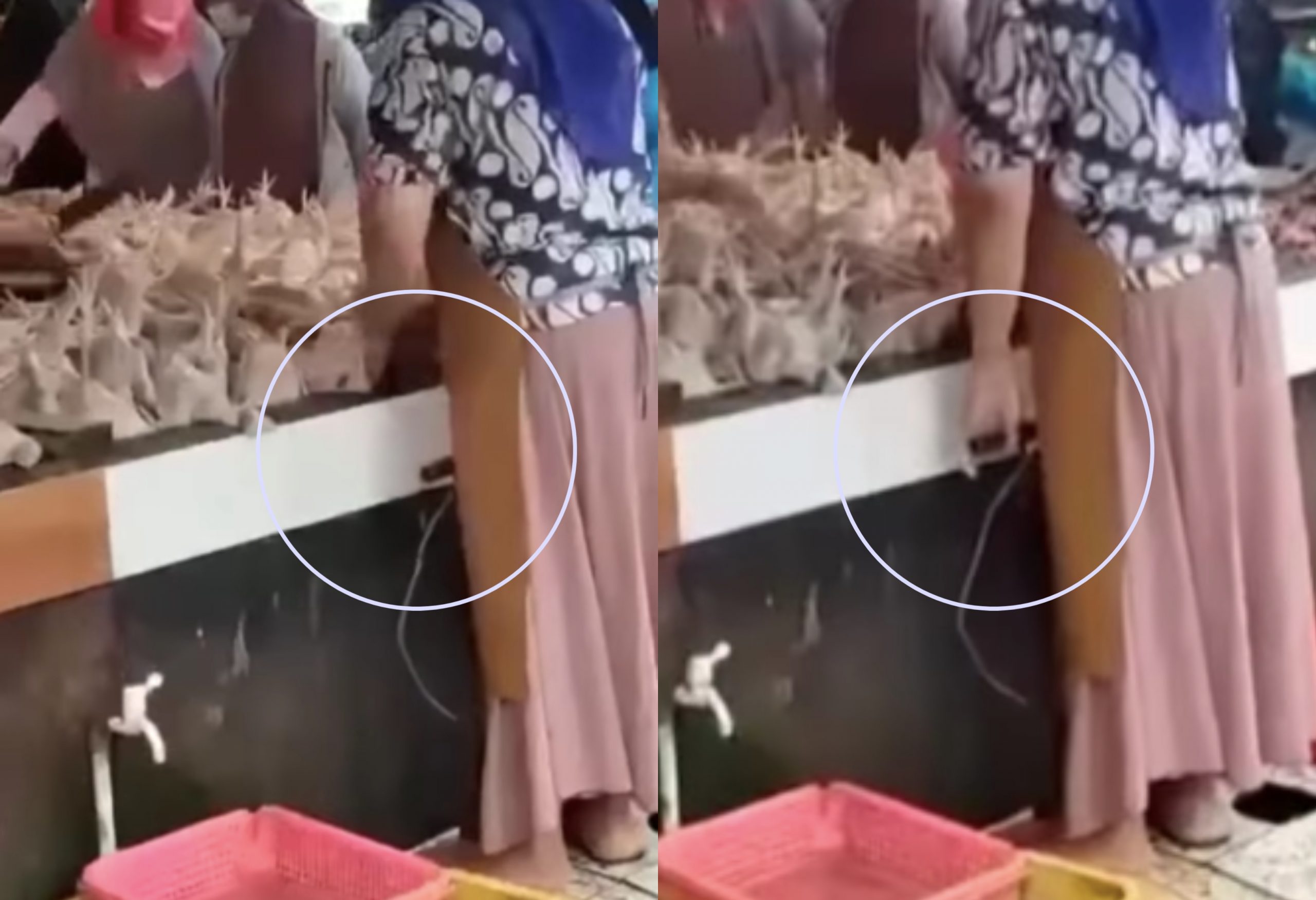 Pam Ayam Bagi Nampak ‘Gemuk’, Tindakan Peniaga Nak Cepat Kaya Dikecam Netizen