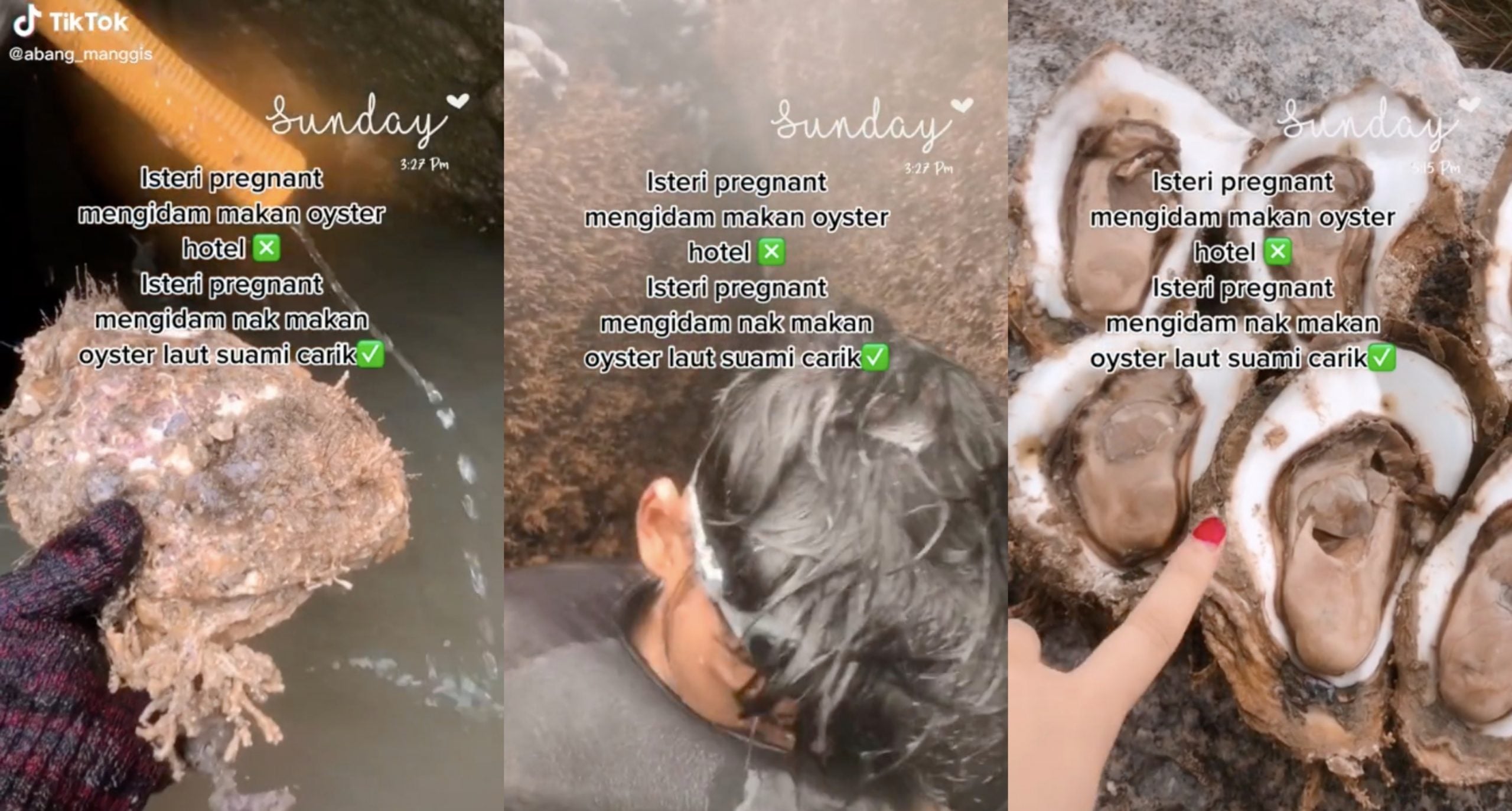 Isteri Mengandung Mengidam Nak Makan Tiram Tangkap Sendiri, Suami Gigih Menyelam Dalam Laut