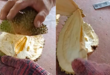 [VIDEO] Lelaki Kecewa Beli Durian ‘Black Thorn’ Berharga RM117 Tapi Isi Langsung Tak Ada!