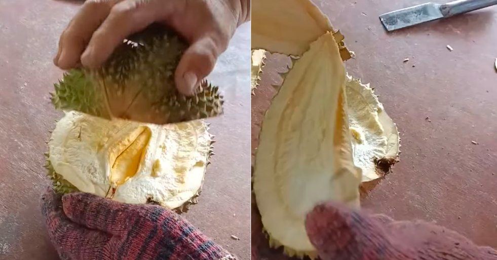 [VIDEO] Lelaki Kecewa Beli Durian ‘Black Thorn’ Berharga RM117 Tapi Isi Langsung Tak Ada!
