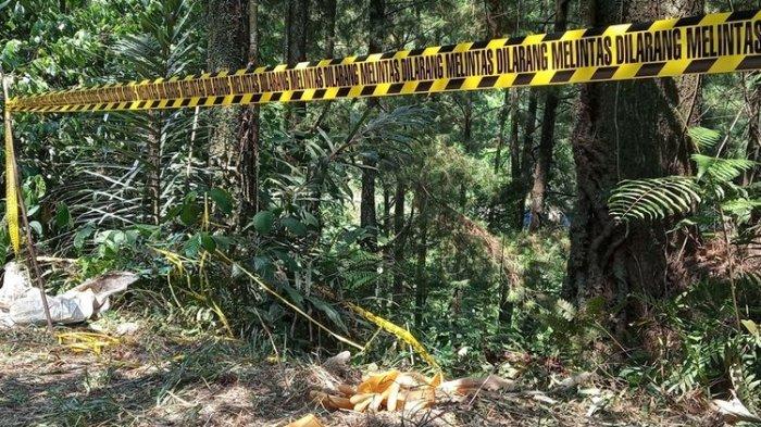 Tumpahkan Gula Masa Bancuh Teh, Budak 2 Tahun Dibunuh Ibu Kandung, Mayat Dicampak Dalam Hutan