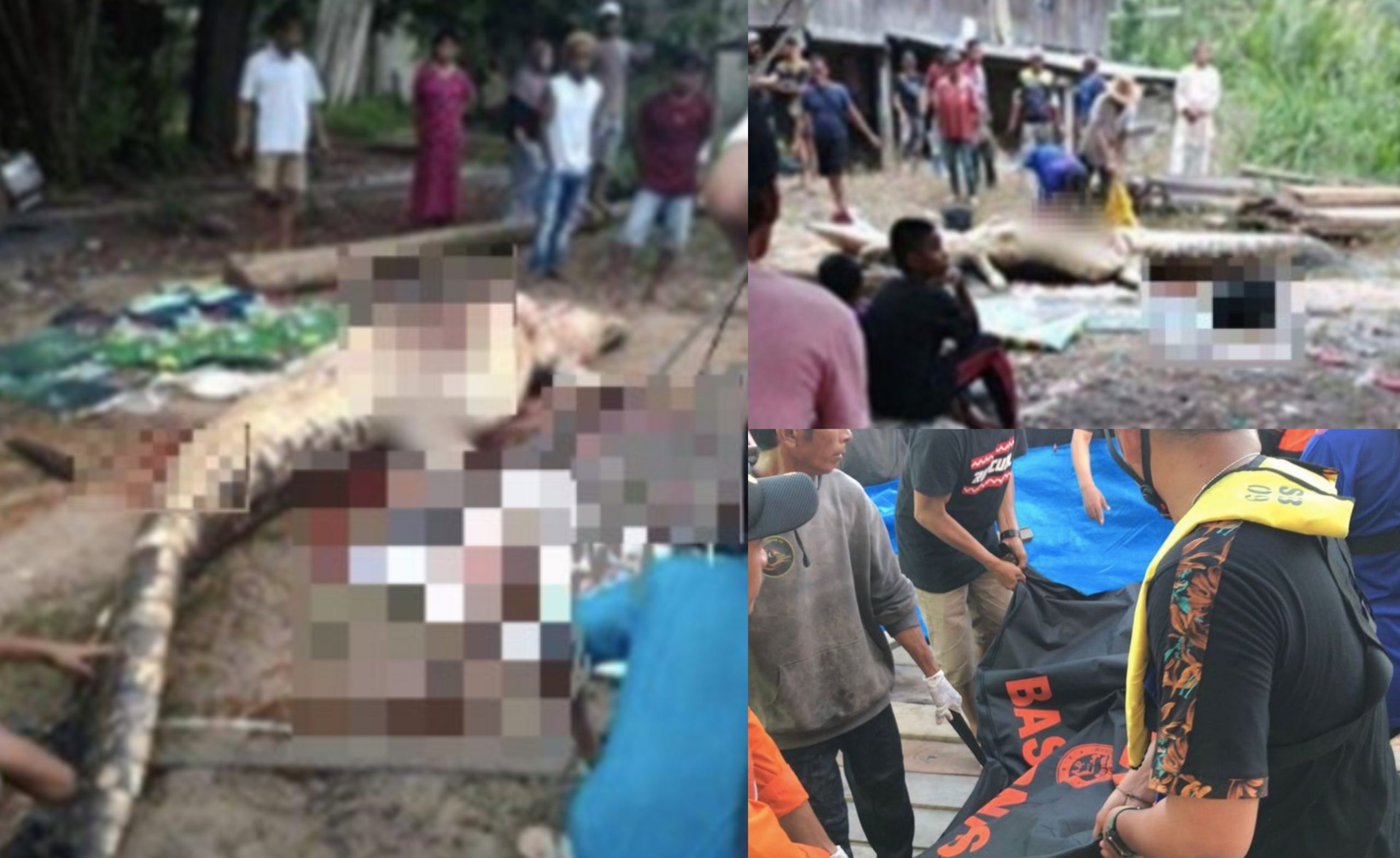 Lelaki Hilang 4 Hari Ditemui Mati Dalam Perut Buaya Sepanjang 5 Meter