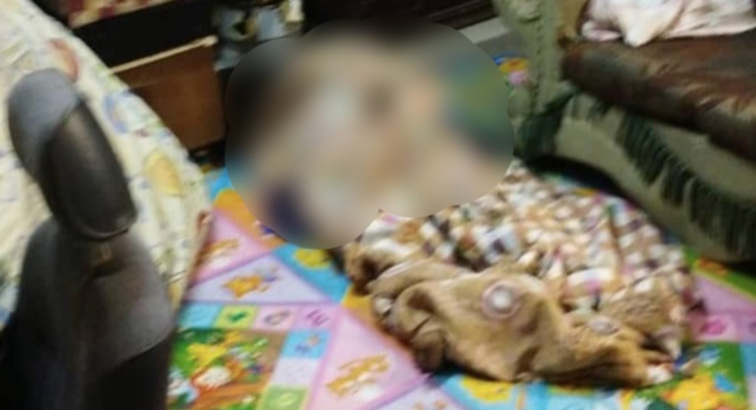 Abang Jumpa Mayat Adik Mereput Dalam Rumah