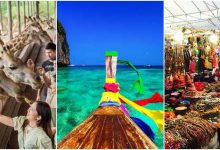 Jom Ke Safari World, Bangkok & Thung Teao Park, Krabi Dengan AirAsia! Harga Serendah RM99 Je Tau!