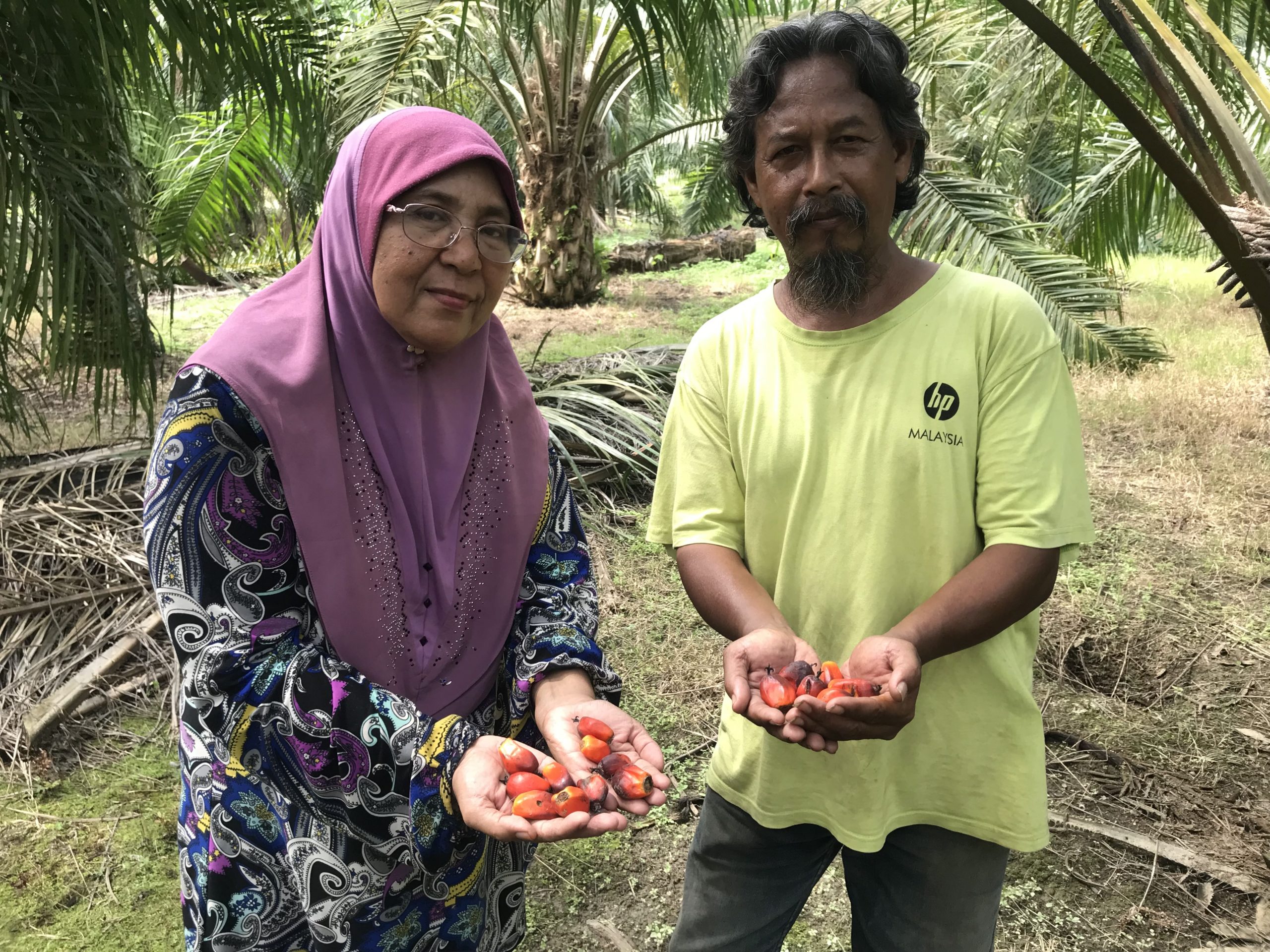 Usia Bukan Penghalang Bagi Puan Jahara Mencapai Kejayaan Sebagai Pekebun Kecil