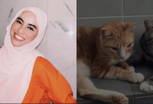 Syada Amzah Sedih Terpaksa ‘Lepaskan’ Sebahagian 37 Ekor Kucing Peliharaan, Netizen Tanya Kenapa Banyak Sangat