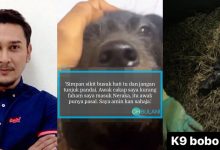 Kongsi Video Bela Anjing K9 Di Media Sosial, Fezrul Khan Terkilan Ada Individu Tergamak Cuba Bunuh Haiwan Peliharaannya