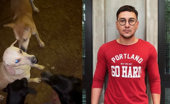 Fezrul Khan Bela Enam Ekor Anjing Untuk Jaga Kebun – ‘Jangan Suka Hati Tuding Jari Orang Masuk Neraka’
