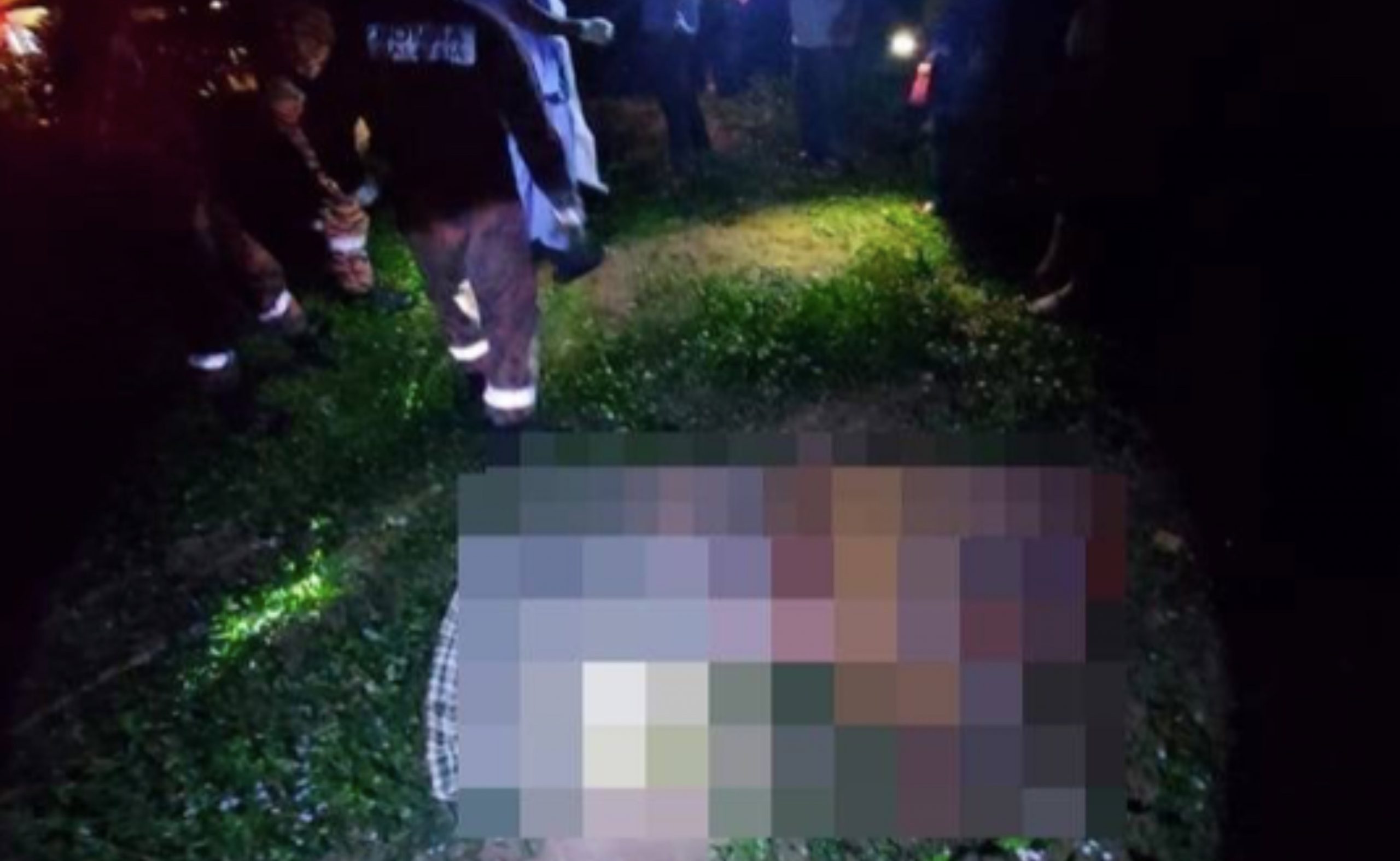 Lelaki Maut Diserang Babi Hutan