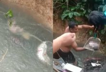 Buang Bayi Bertali Pusat Ke Sungai, Pasangan Kekasih Ditahan Polis