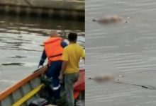 Tular Video Buaya Hantar Mayat Budak Mati Lemas Ke Tepi Sungai, Waris Siap Tunggu!