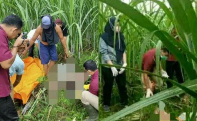 Mayat Wanita & Bayi Berbau Ditemui Di Ladang Tebu