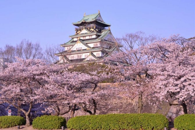 10 Cara Untuk Korang Betul-Betul Menikmati Musim Cherry Blossom Di Jepun!