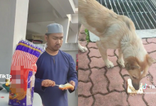 [VIDEO] Netizen Terhibur Tengok Lelaki Jamu Anjing ‘Breakfast’ Roti Sapu Mentega