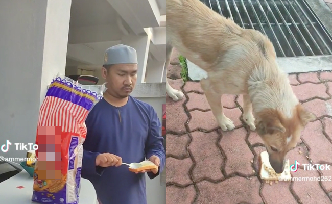 [VIDEO] Netizen Terhibur Tengok Lelaki Jamu Anjing ‘Breakfast’ Roti Sapu Mentega