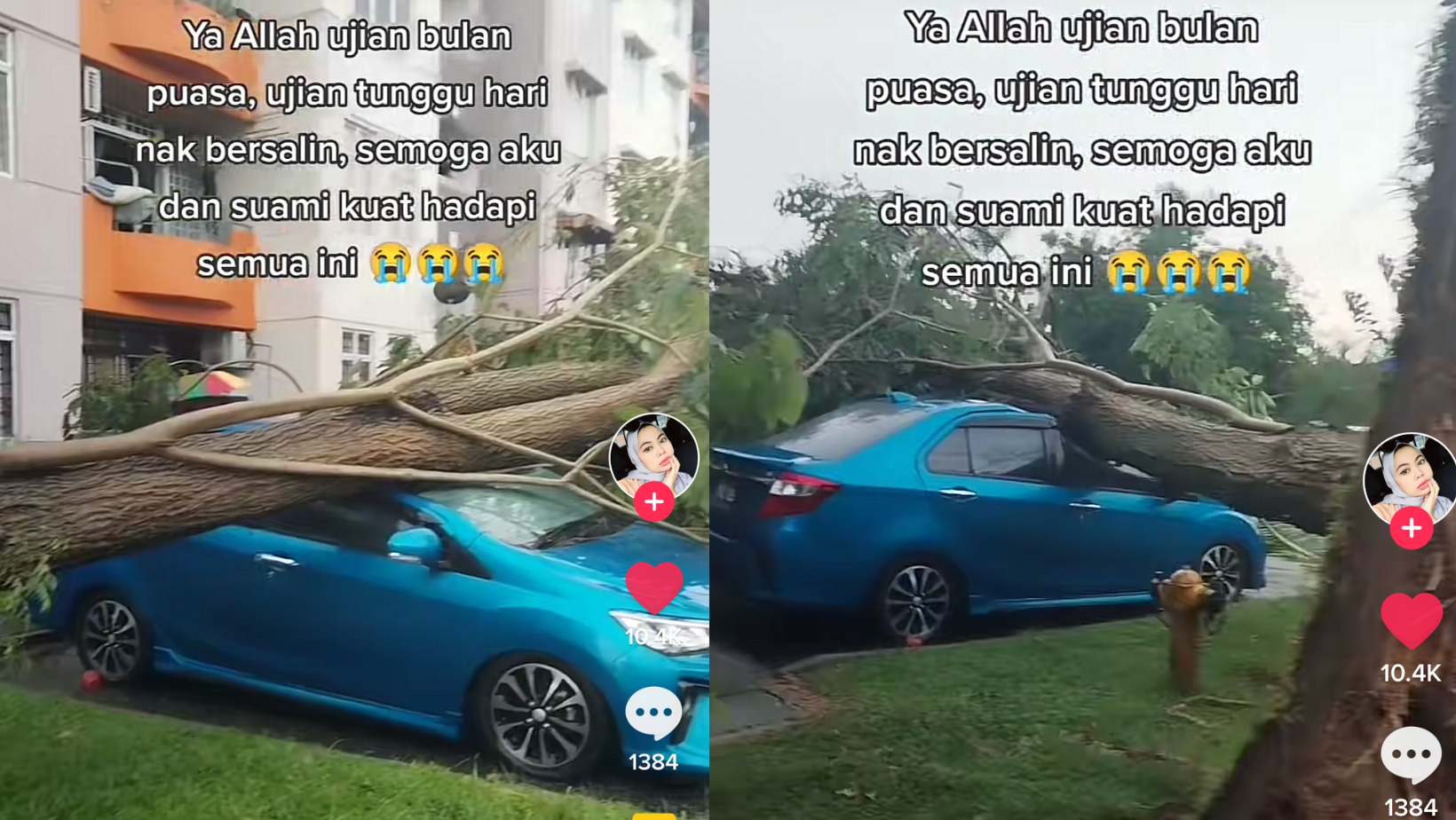 [VIDEO] Menunggu Hari Untuk Bersalin, Ibu Hamil Sedih Kereta Dihempap Pokok Besar