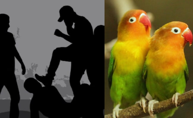 Seorang Lelaki Dibogel & Dibelasah Sehingga Mati Akibat Dituduh Mencuri Burung