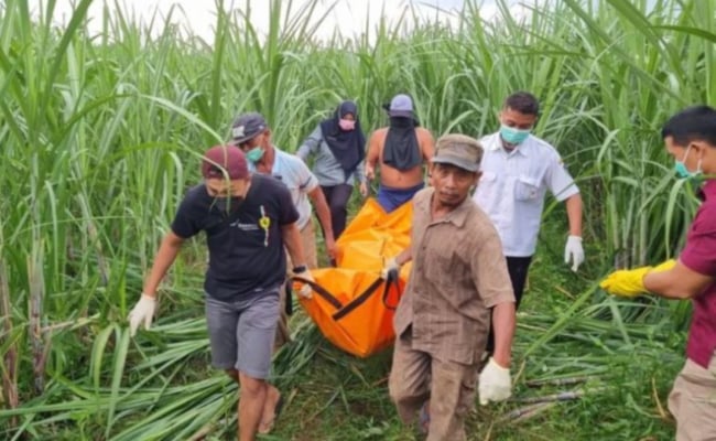 Suami Tergamak Buang Mayat Isteri & Bayi Di Ladang Tebu