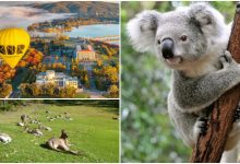 Nak Pergi Australia Ke Tu? Ini 8 Destinasi Korang Wajib Pergi Untuk Pengalaman Percutian ‘Amazing’ Bersama Keluarga!