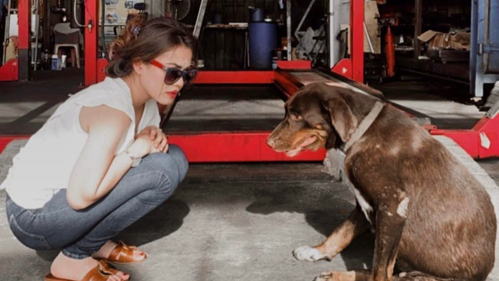 ‘Hati Anjing Lagi Ikhlas Dari Kau Yang Terserlah Kebusukannya’ – Tiz Zaqyah