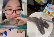 [VIDEO] Netizen Loya Tengok Gadis Buat Agar-Agar Ikan Keli, Siap Bagi Rating 8/10
