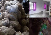 [VIDEO] Owner Terkejut Tengok Satu Rumah Sewa Penuh Najis Kucing, Bertimbun Dalam Plastik