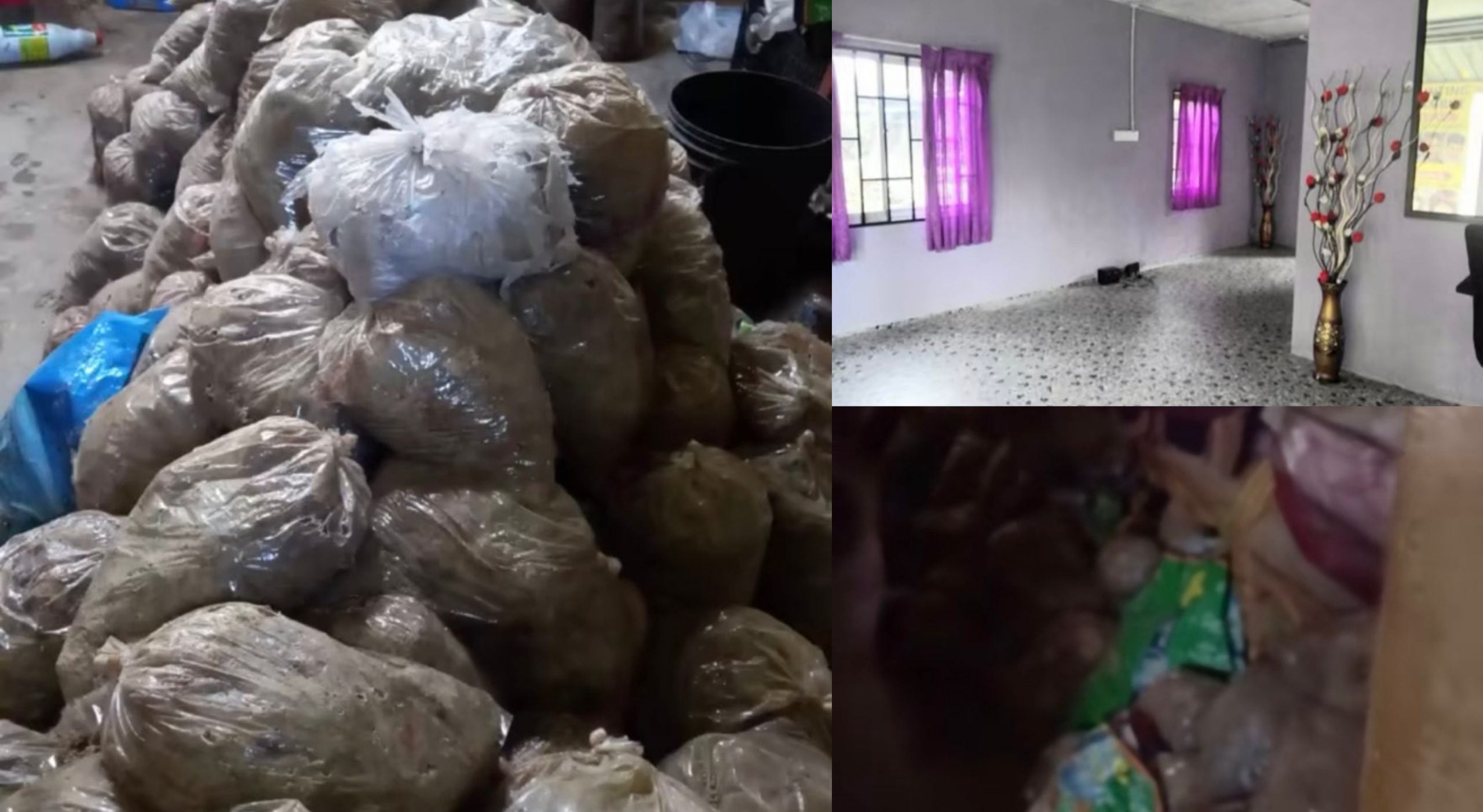 [VIDEO] Owner Terkejut Tengok Satu Rumah Sewa Penuh Najis Kucing, Bertimbun Dalam Plastik