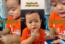 [VIDEO] Menangis Nak Tengok Gambar Agong, Telatah Anak Kecil Ini Cuit Hati Netizen – ‘Semoga FYP’