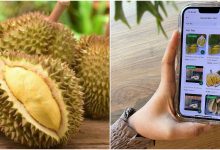 Korang Giler Durian Ataupun Pembenci Durian? Tak Kisah Lah, Yang Penting Ada Promosi Menarik GrabMart Nak Kasi Ni!