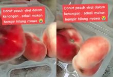 ‘Donut Peach’ Viral Buat Wanita Hampir Hilang Nyawa – ‘Dalam 15 Minit Terus Pergi Kecemasan’