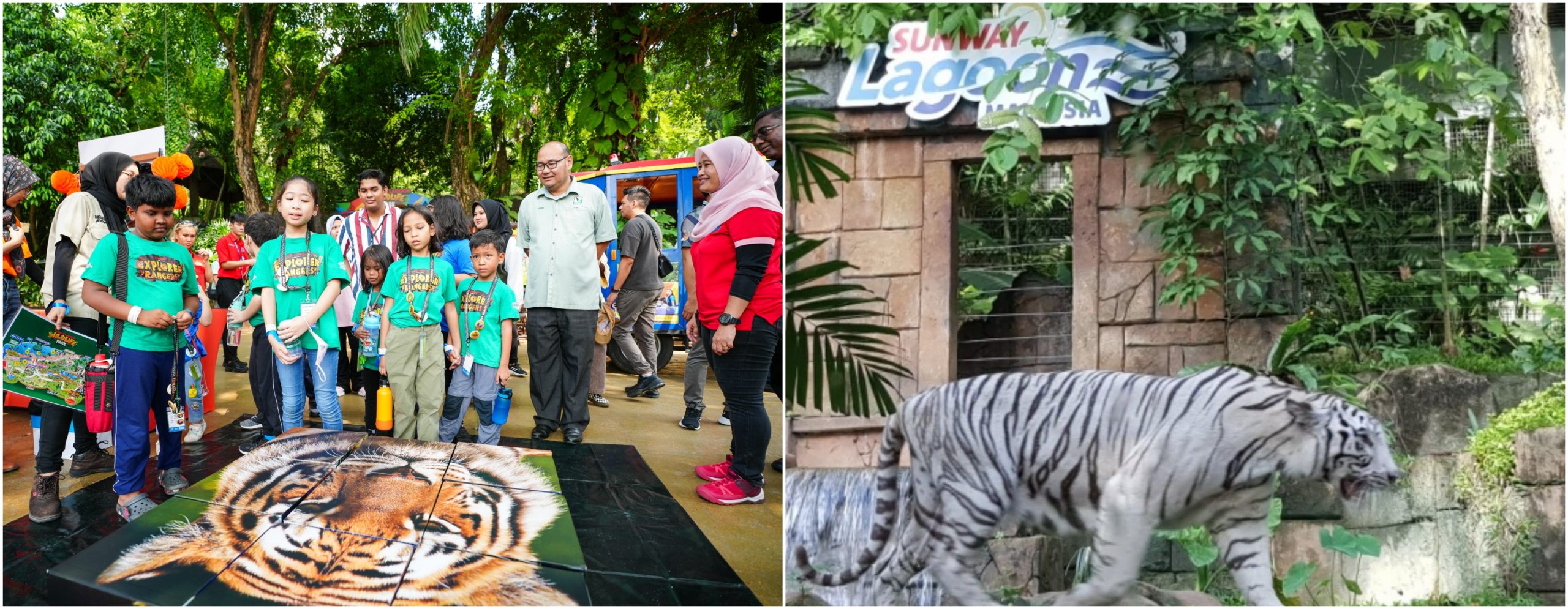 Sunway Lancarkan “Global Tiger Day” Bagi Meningkatkan Pemuliharaan Habitat Harimau