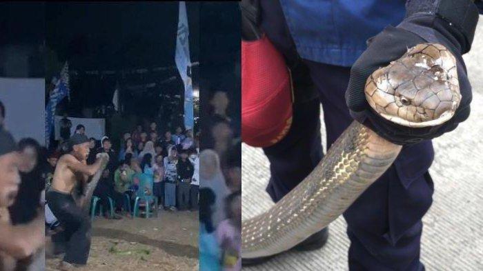 Bomoh Ular Meninggal Dunia Dipatuk Ular Peliharaan