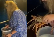 Tak Sampai Hati Nak Makan, Wanita Lepas Semula Lobster Harga RM1,020 Ke Laut