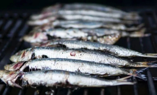 Wanita Maut Selepas Makan Ikan Sardin