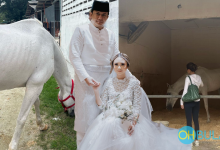 Suami Beri Intan Najuwa Kuda Putih Sempena Hari Jadi – ‘Hadiah Yang Paling Terbaik’