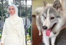[VIDEO] Julia Farhana Nafi Bela Anjing – ‘Tak Pernah Bermain, Hanya Tumpangkan Tempat Sahaja’