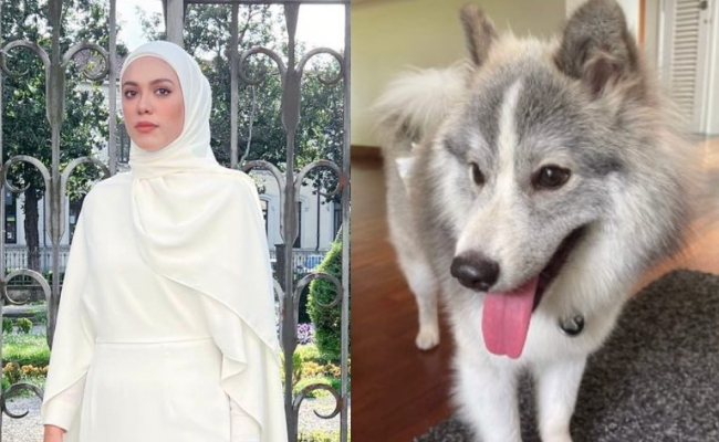 [VIDEO] Julia Farhana Nafi Bela Anjing – ‘Tak Pernah Bermain, Hanya Tumpangkan Tempat Sahaja’