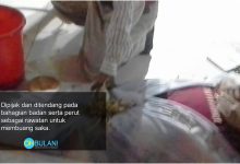 Akibat Percaya 5 Pengamal Tradisional Buang Saka, Lelaki Ini Maut Ditumbuk & Dipijak