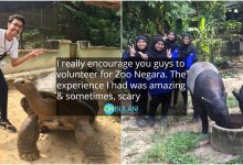 Netizen Kongsi Pengalaman Jadi Volunteer Di Zoo Negara. Siap Boleh Selfie Dengan Haiwan Lagi!