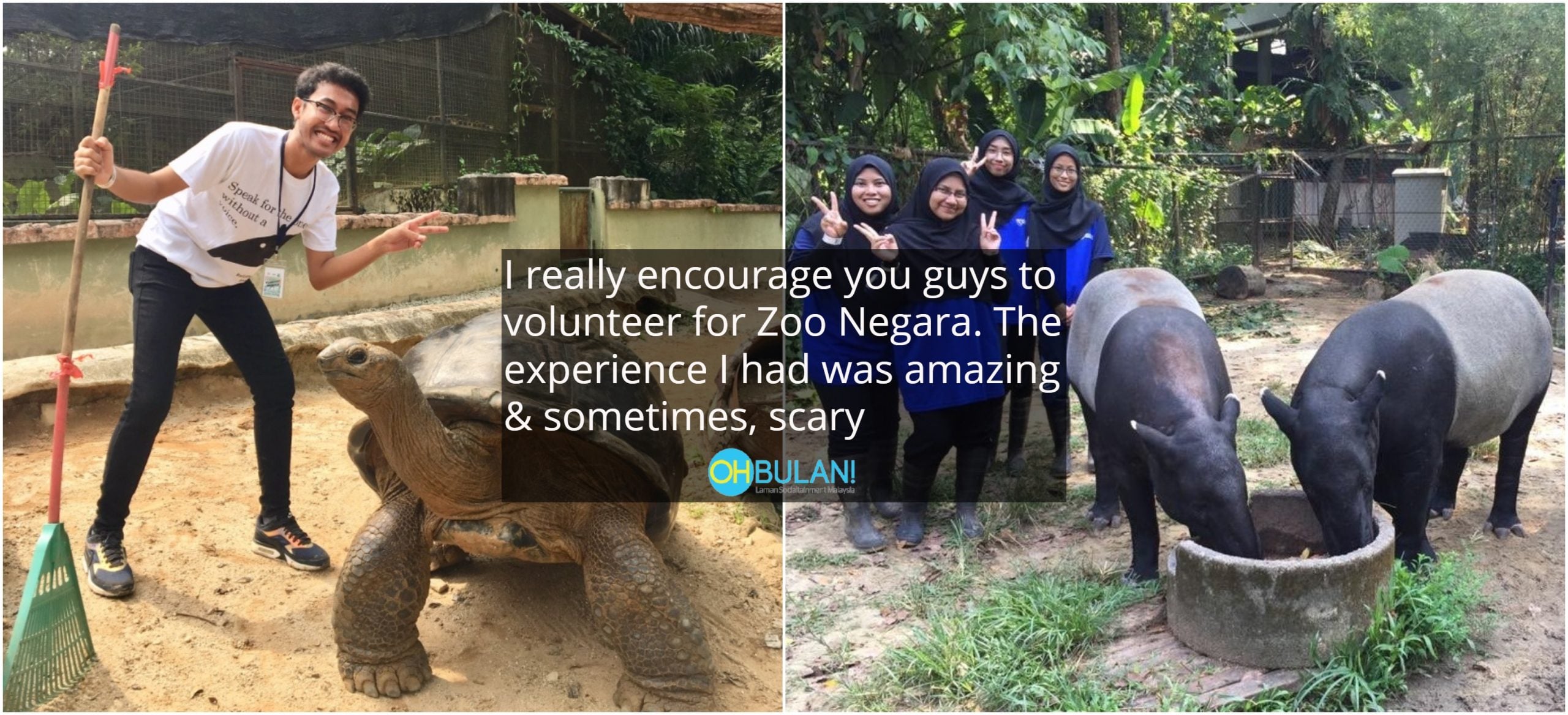 Netizen Kongsi Pengalaman Jadi Volunteer Di Zoo Negara. Siap Boleh Selfie Dengan Haiwan Lagi!
