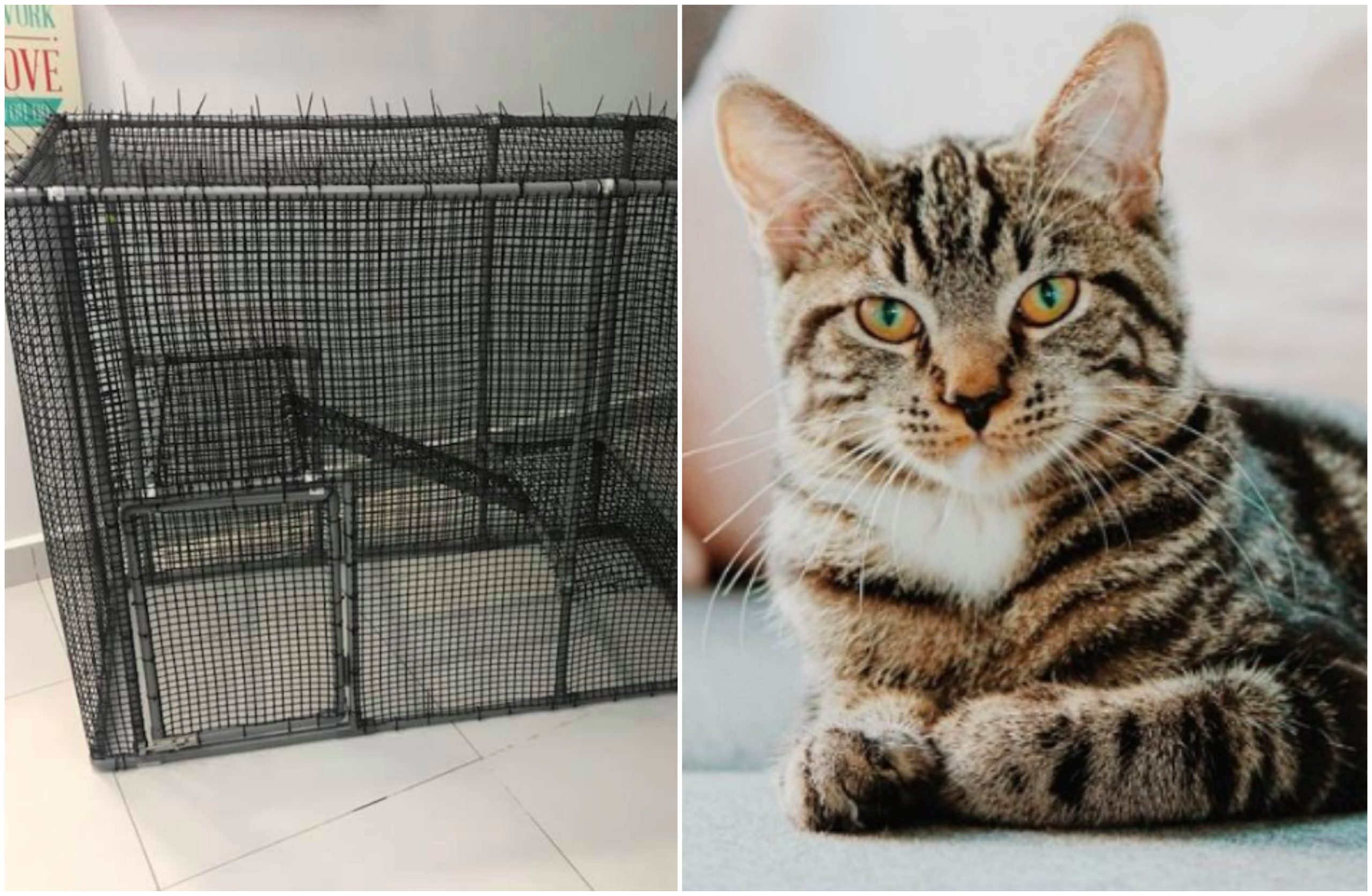 Sangkar Kucing PVC Tahan Lama & Mudah Cuci, Modal Bawah RM130 Je. Berbaloi-Baloi!