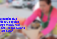 Kisah Kak Lina Peniaga Nasi Lemak Tepi Jalan Jana Pendapatan RM3500 Sebulan